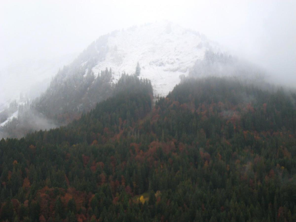 Appartement Au Pied Des Pistes, Avec Vue Sur La Montagne แบร์เนซ์ ภายนอก รูปภาพ